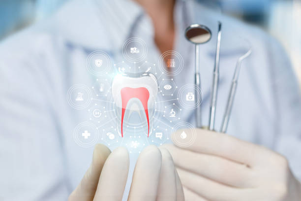 Professional Dental Services in Glens Falls, NY